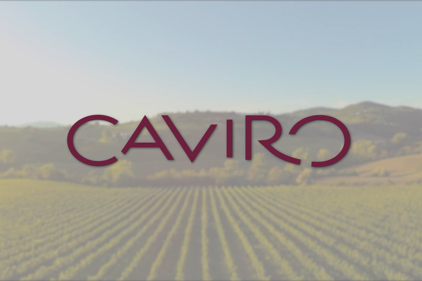 Caviro Corporate